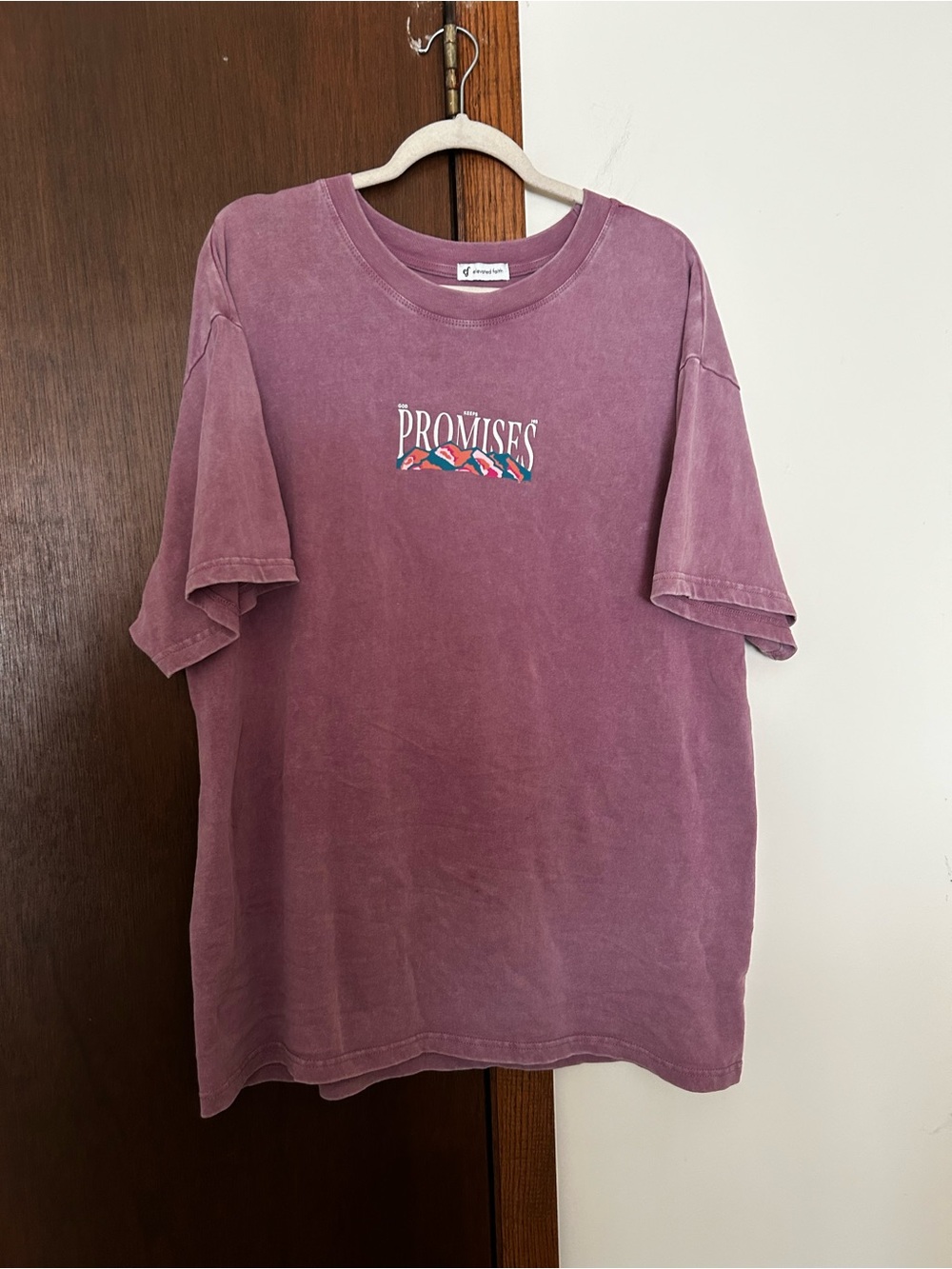 Elevated faith Promises Short Sleeve Relaxed Tee in Dusty Mauve